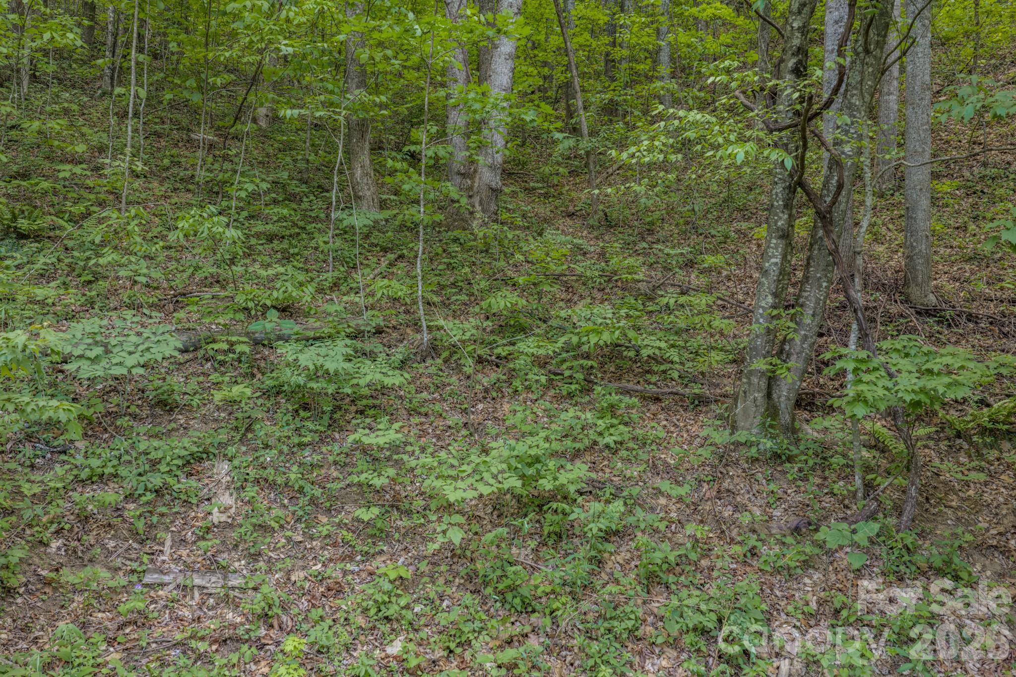 263 Mockingbird Road Swannanoa NC 28778
