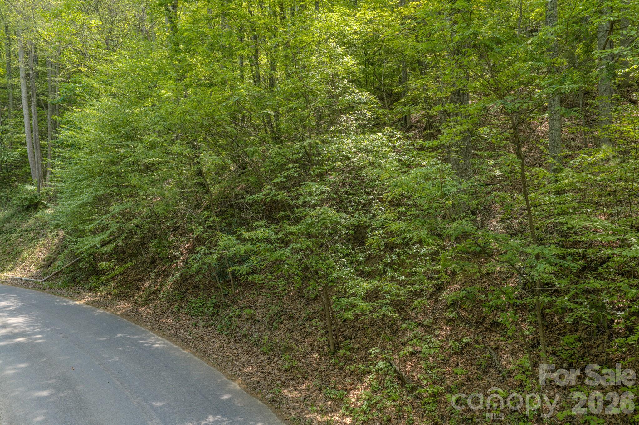 263 Mockingbird Road Swannanoa NC 28778