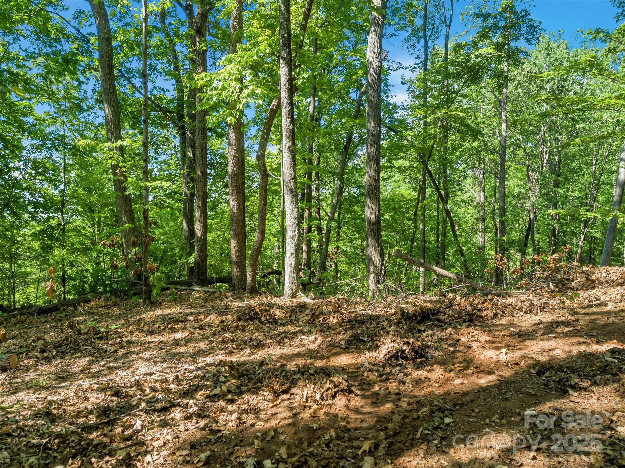 0 Maple Spring Drive Union Mills NC 28167