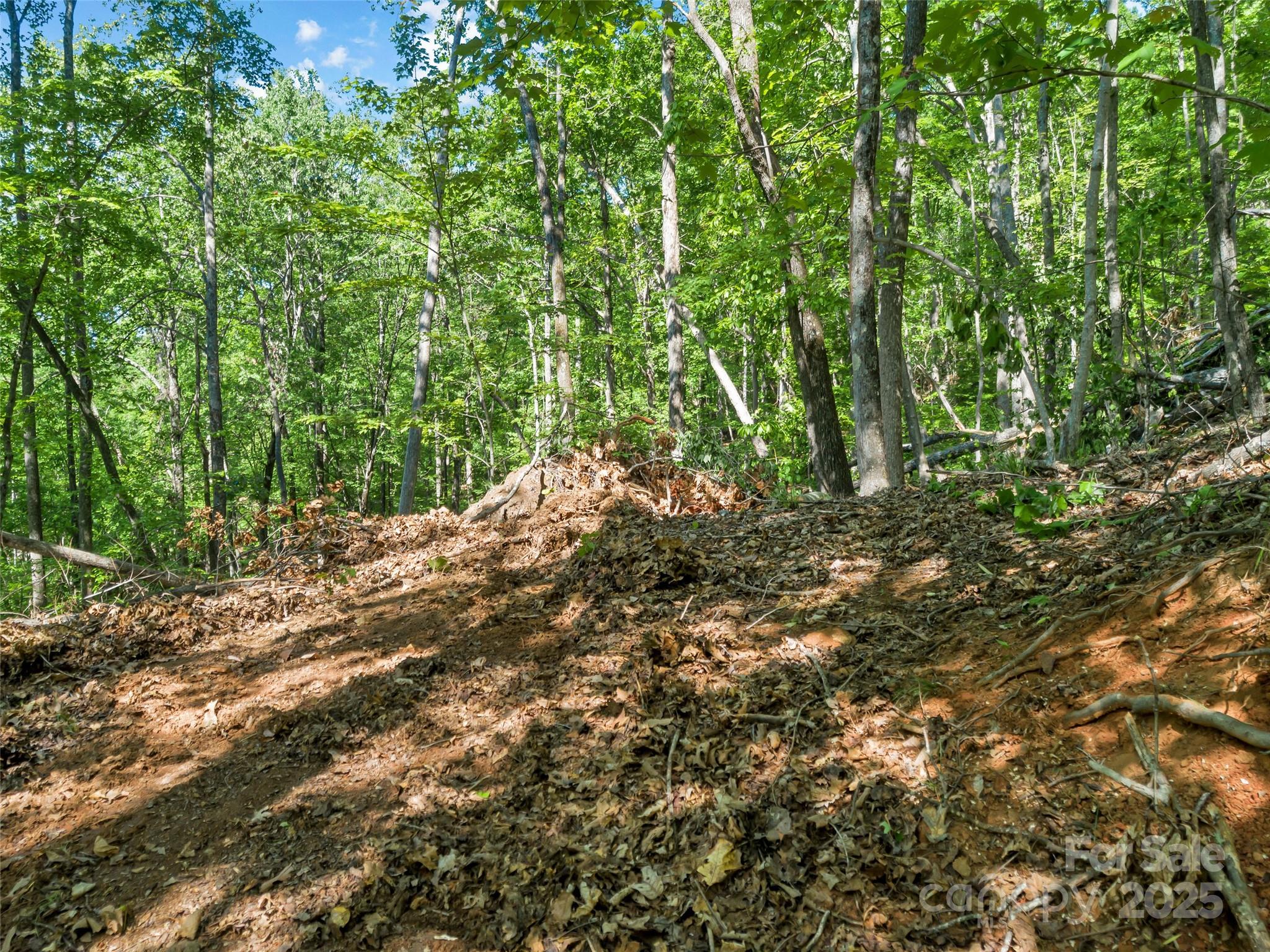 0 Maple Spring Drive Union Mills NC 28167