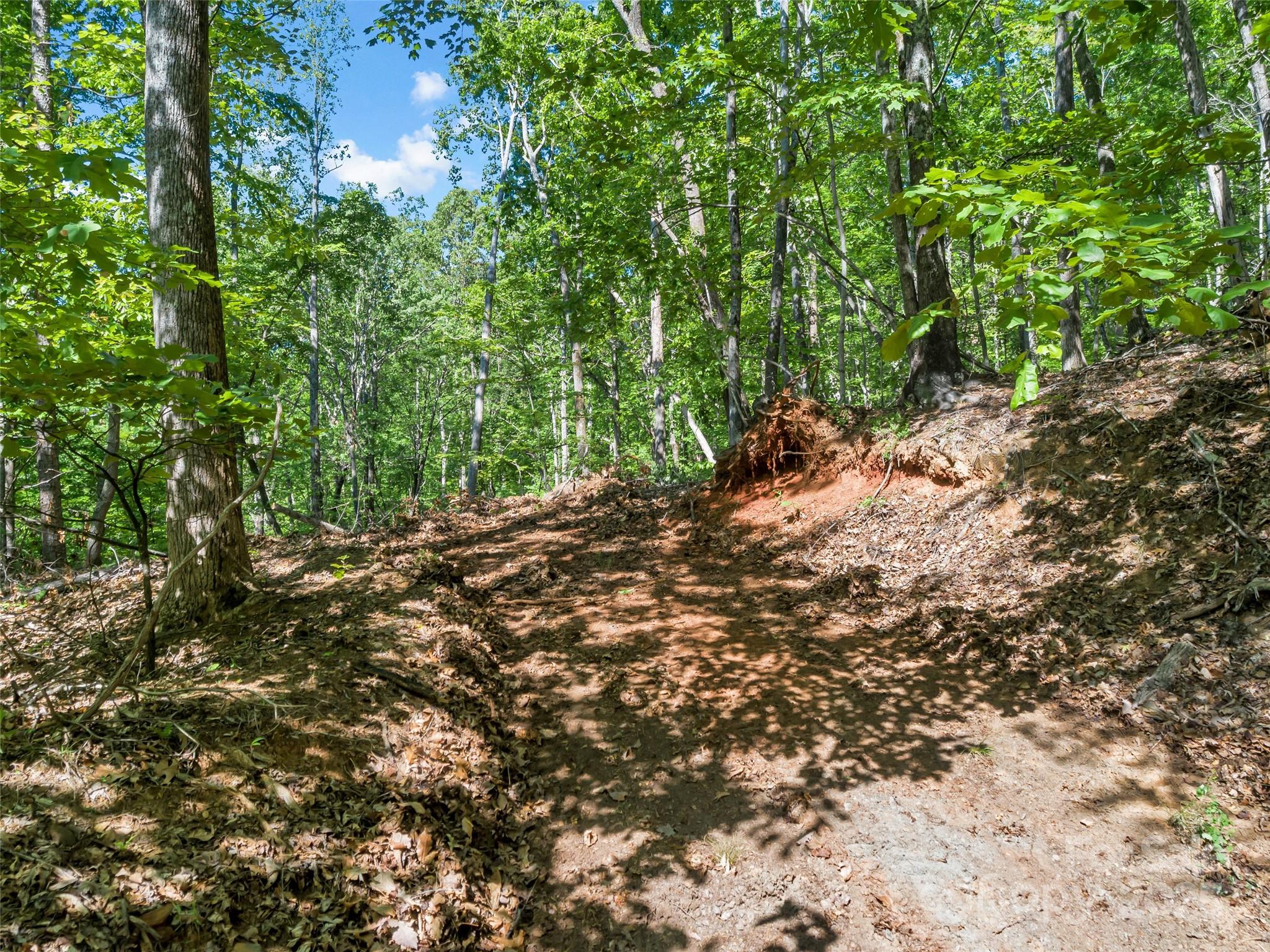 0 Maple Spring Drive Union Mills NC 28167