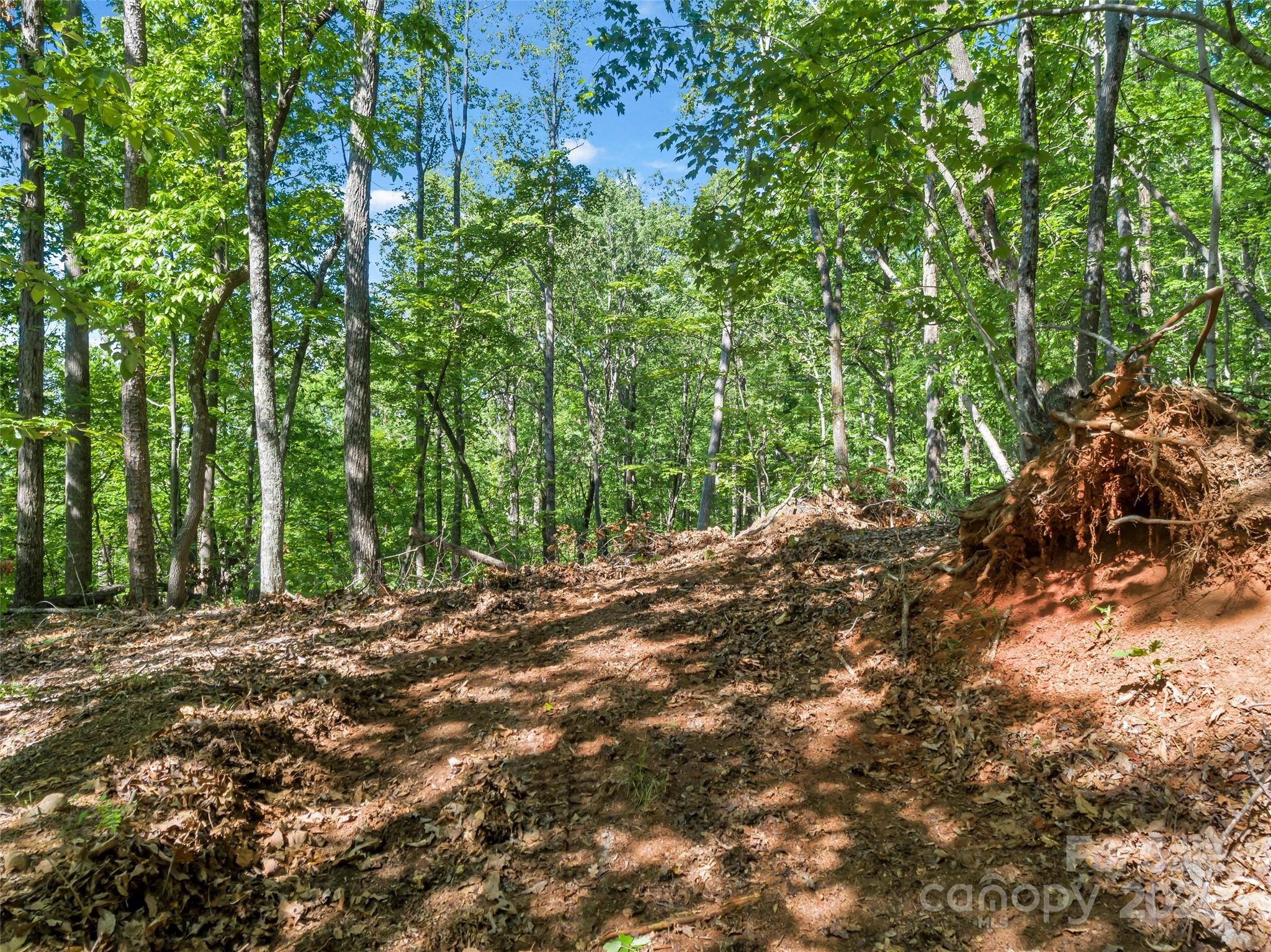 0 Maple Spring Drive Union Mills NC 28167