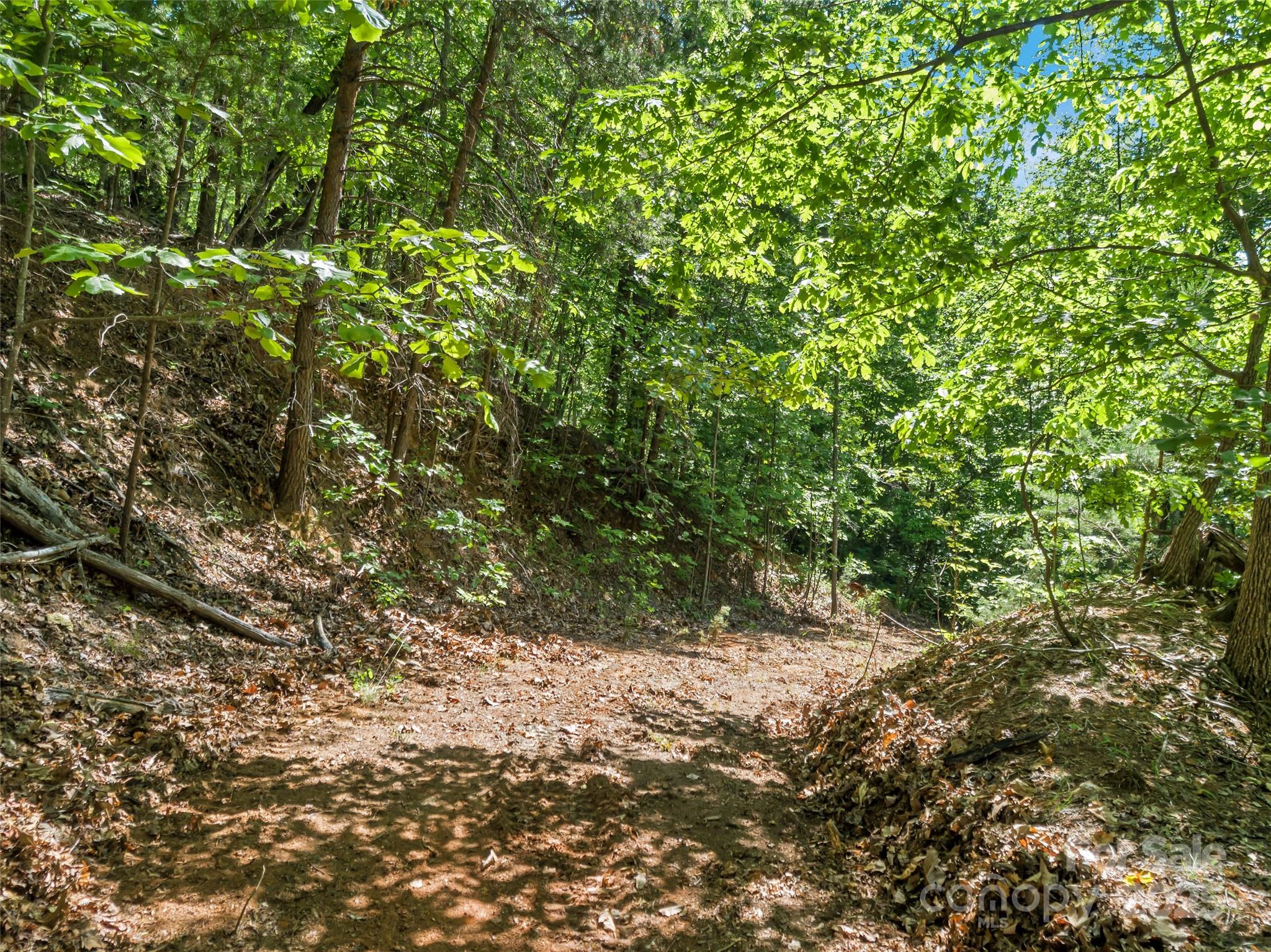 0 Maple Spring Drive Union Mills NC 28167