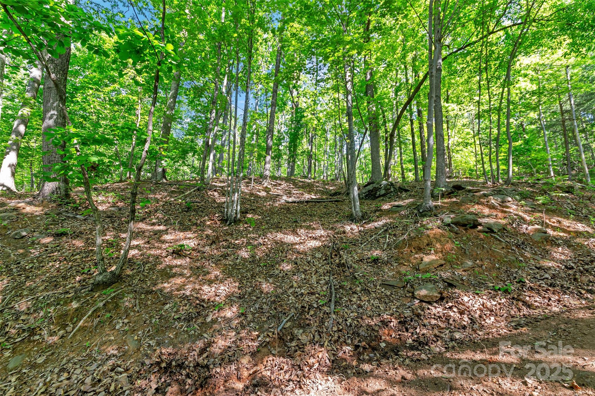 0 Maple Spring Drive Union Mills NC 28167