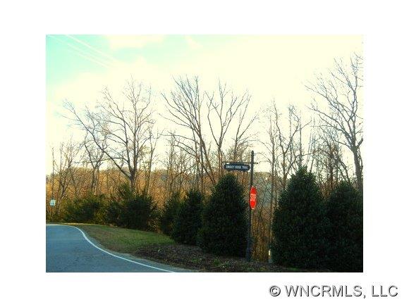 85 Smokey Ridge Trail Arden NC 28704