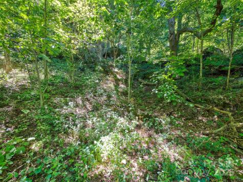 00 Yellow Locust Drive Waynesville NC 28786