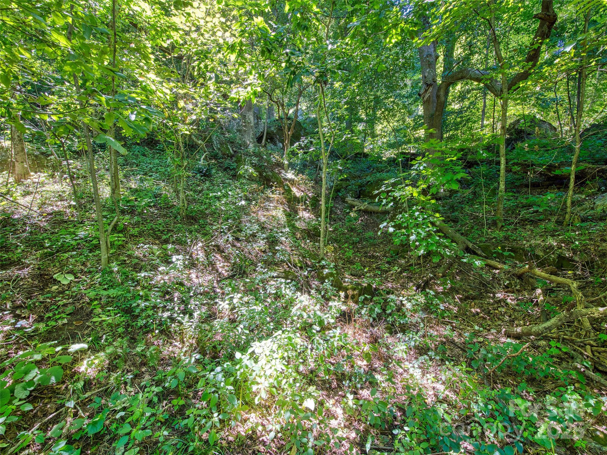 00 Yellow Locust Drive Waynesville NC 28786