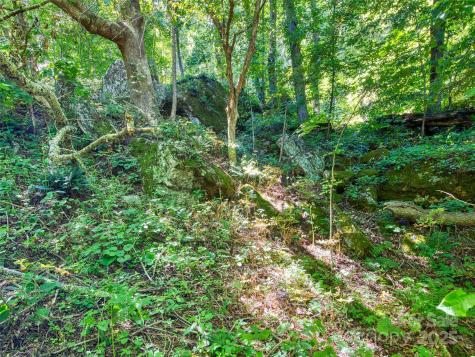 00 Yellow Locust Drive Waynesville NC 28786