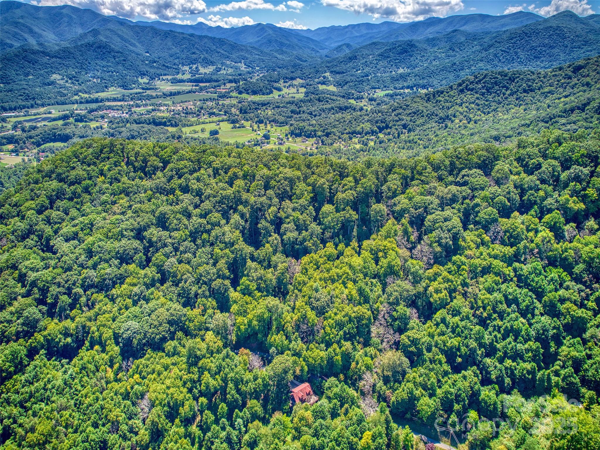 00 Yellow Locust Drive Waynesville NC 28786