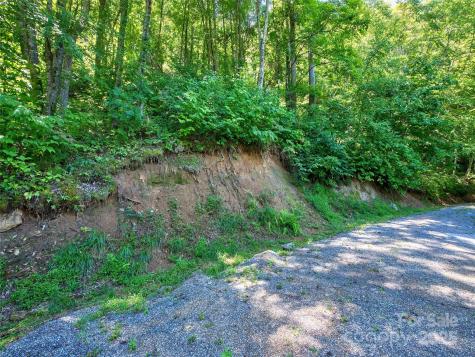 00 Yellow Locust Drive Waynesville NC 28786