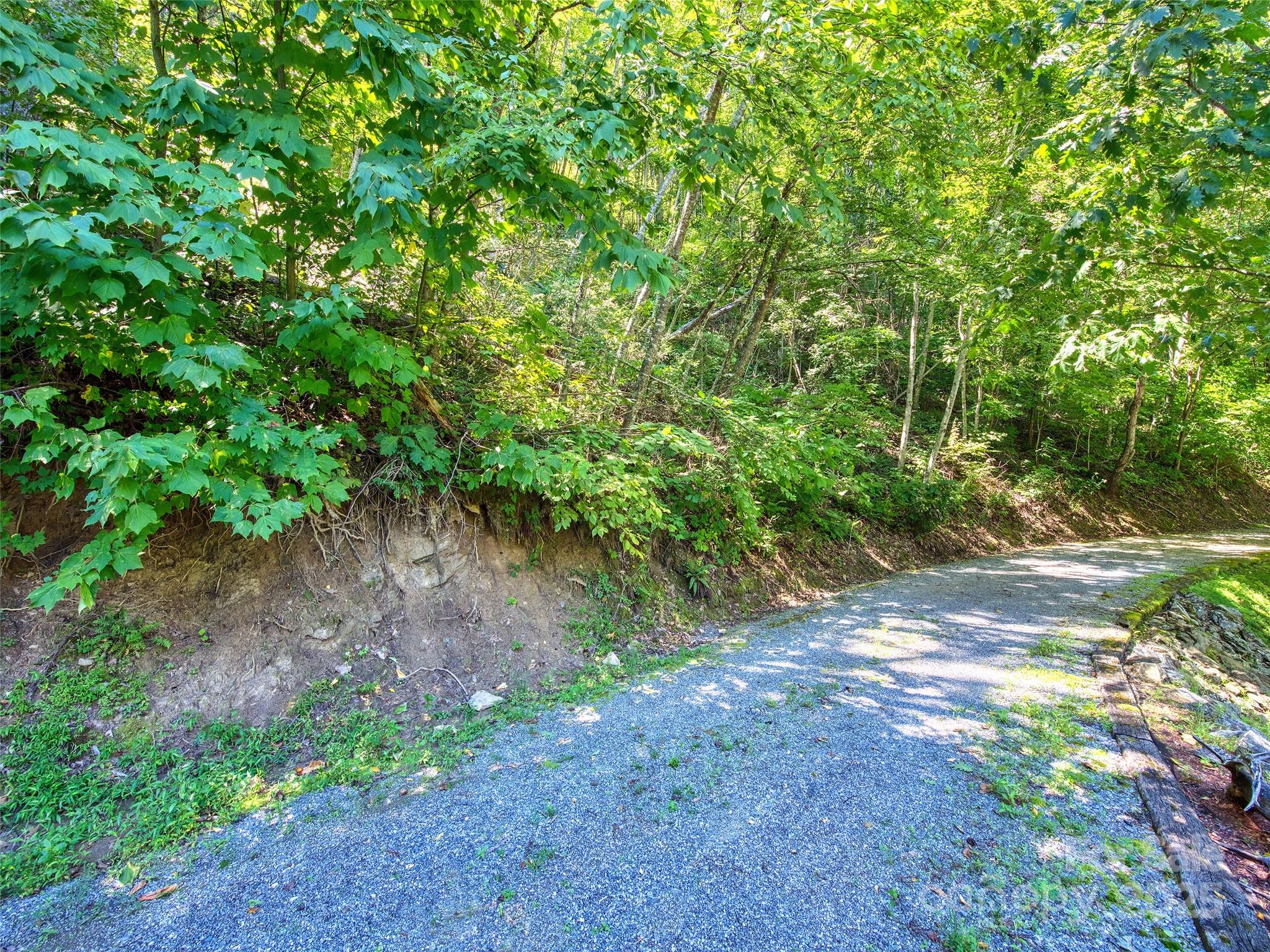 00 Yellow Locust Drive Waynesville NC 28786