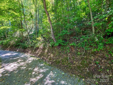 00 Yellow Locust Drive Waynesville NC 28786