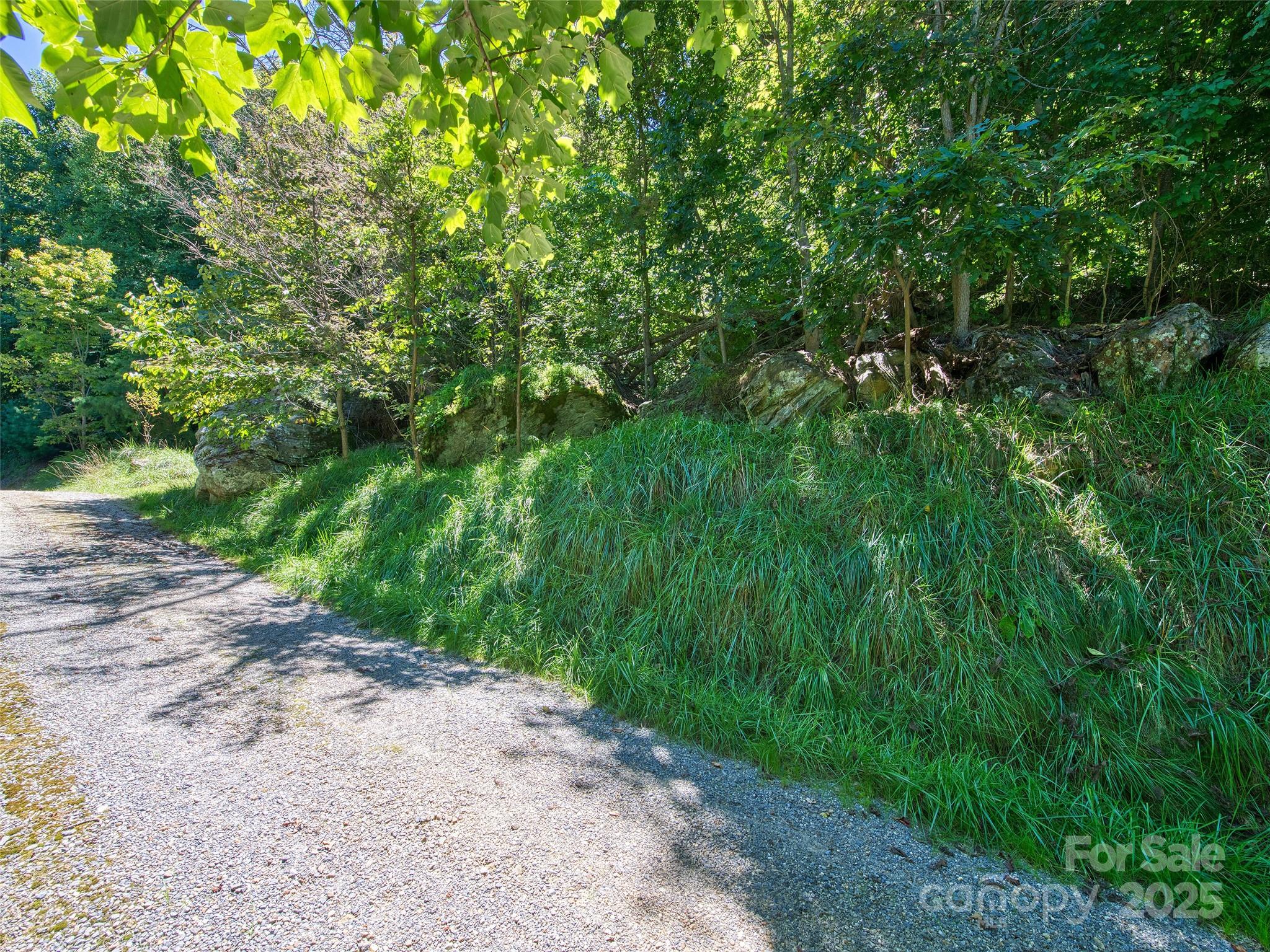 00 Yellow Locust Drive Waynesville NC 28786