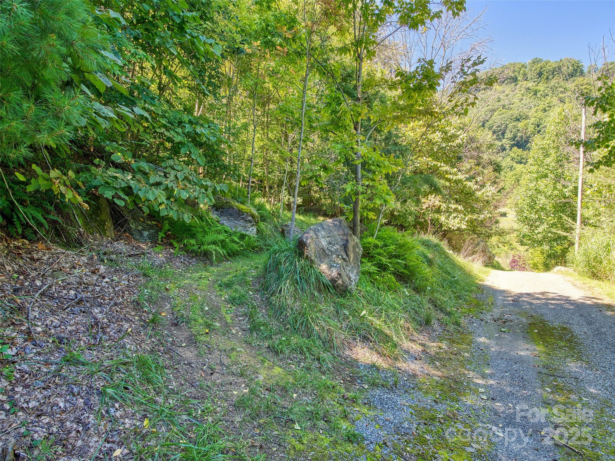 00 Yellow Locust Drive Waynesville NC 28786