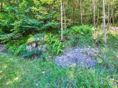 00 Yellow Locust Drive Waynesville NC 28786