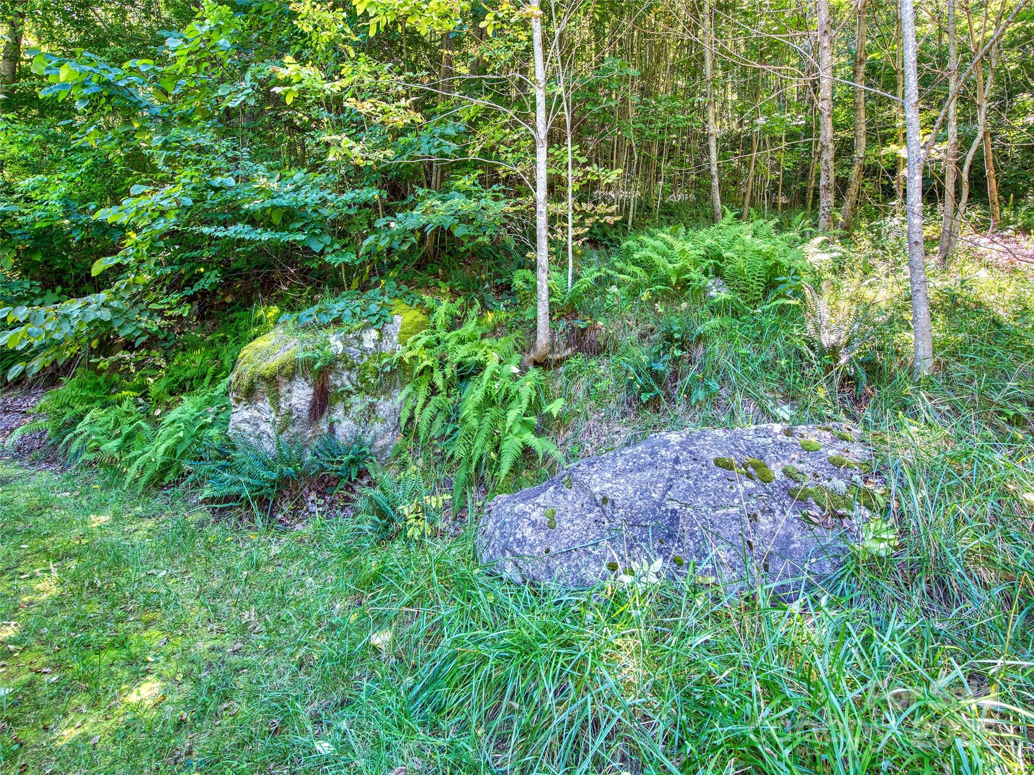 00 Yellow Locust Drive Waynesville NC 28786