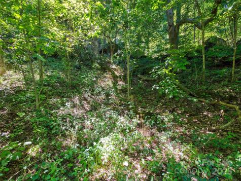 00 Yellow Locust Drive Waynesville NC 28786