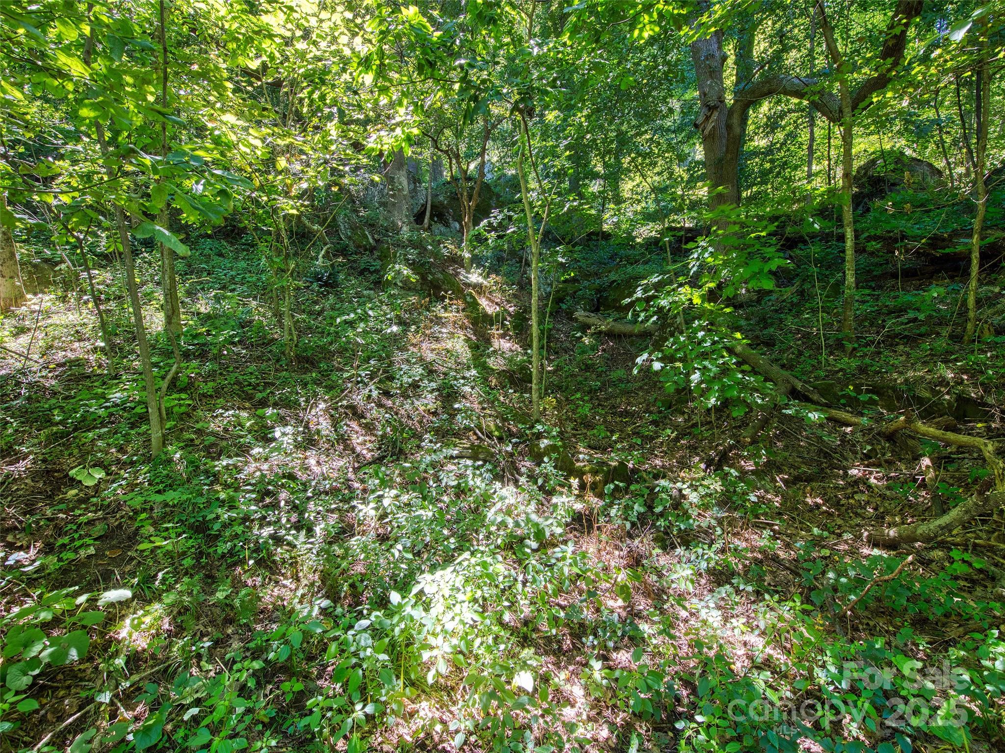 00 Yellow Locust Drive Waynesville NC 28786