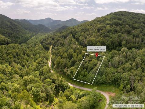 000 Puncheon Lane Mars Hill NC 28754