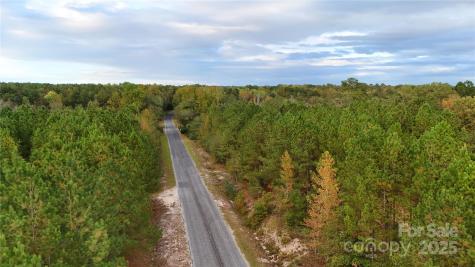 00 Steen Road Mount Croghan SC 29727
