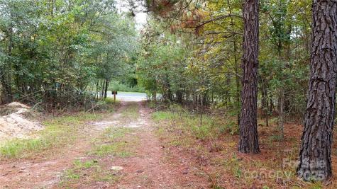00 Steen Road Mount Croghan SC 29727