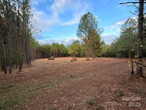 00 Steen Road Mount Croghan SC 29727