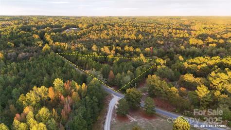 00 Steen Road Mount Croghan SC 29727