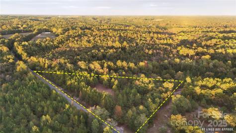 00 Steen Road Mount Croghan SC 29727