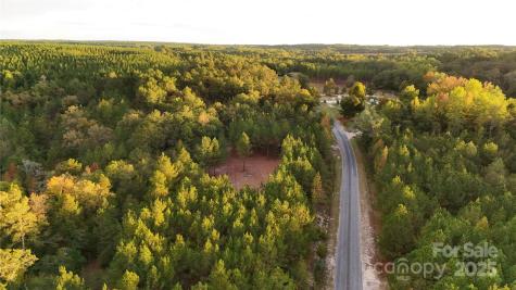 00 Steen Road Mount Croghan SC 29727