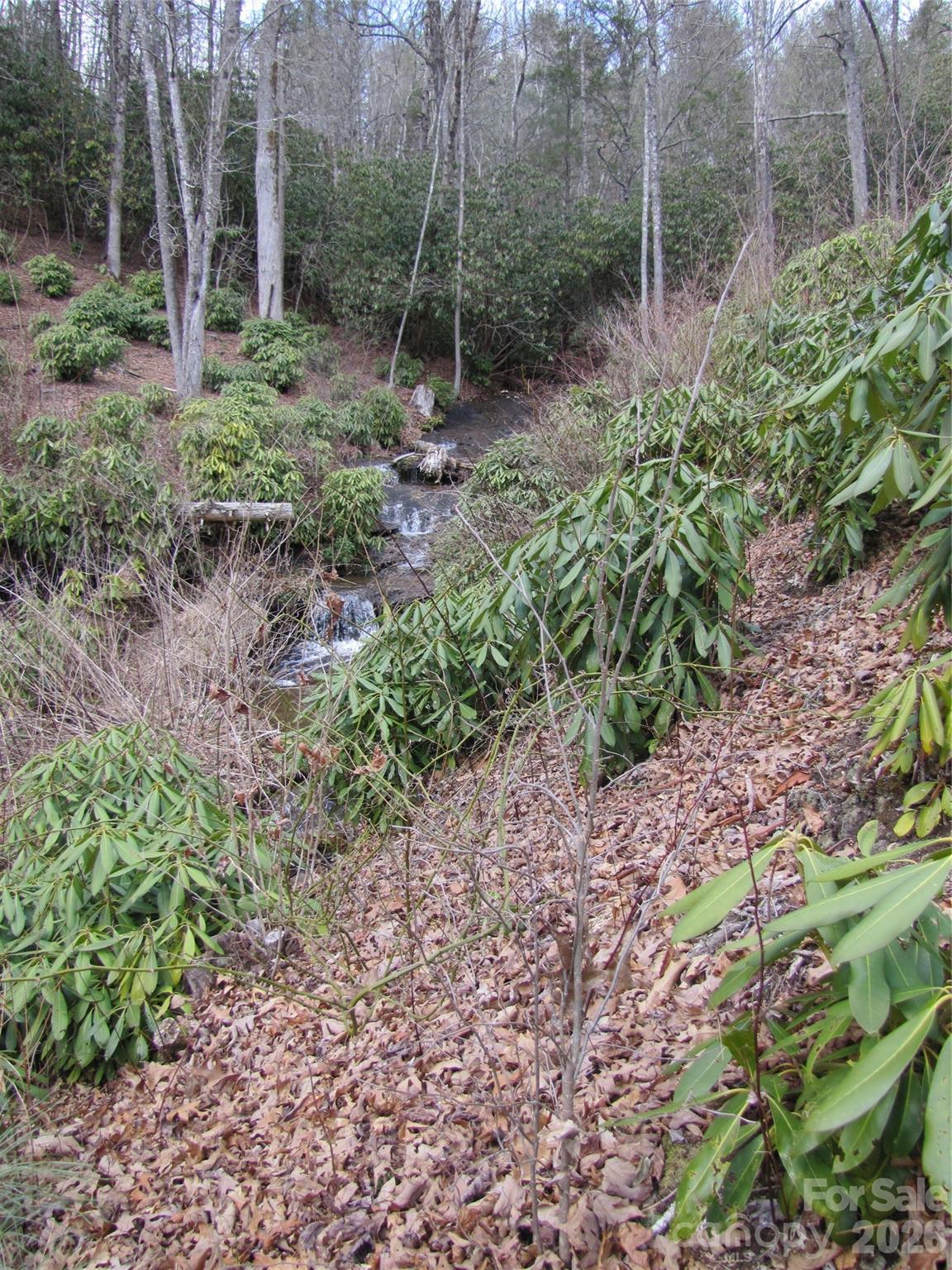 580 N Robinson Creek Road Glenville NC 28736