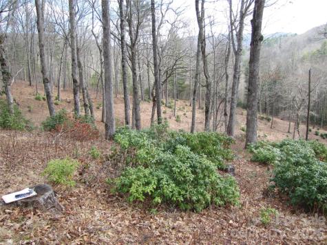 580 N Robinson Creek Road Glenville NC 28736