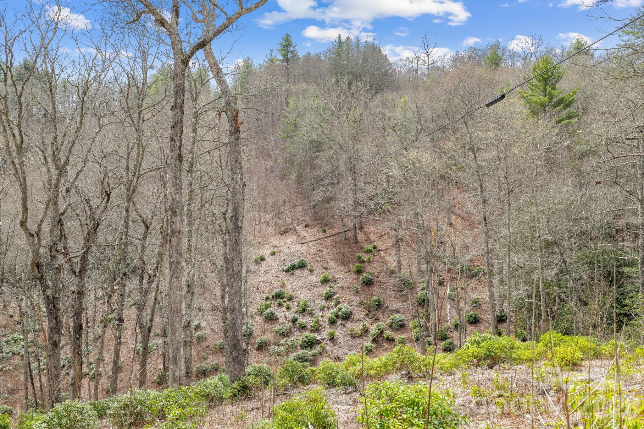 580 N Robinson Creek Road Glenville NC 28736