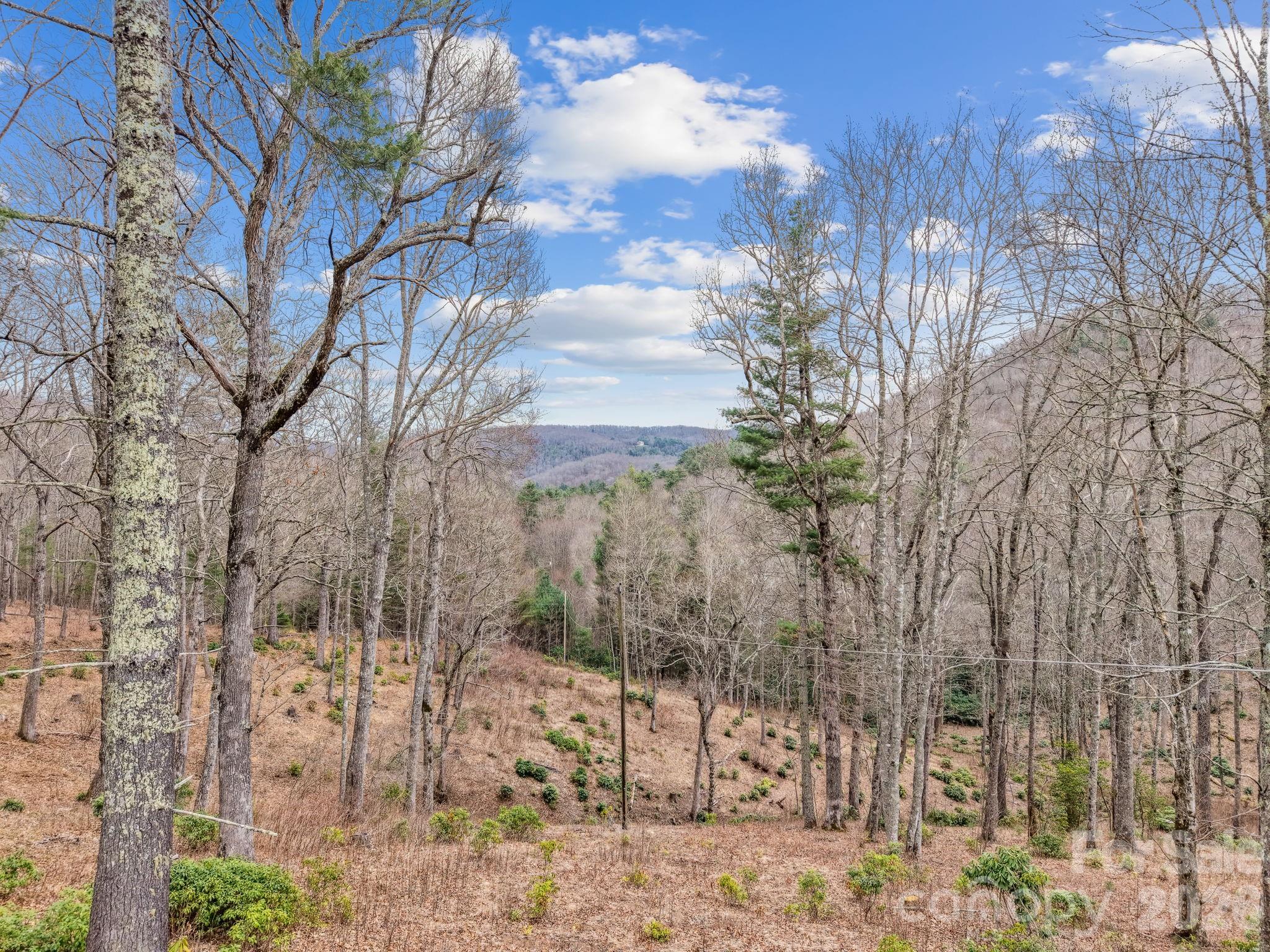 580 N Robinson Creek Road Glenville NC 28736