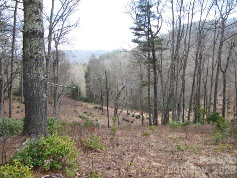 580 N Robinson Creek Road Glenville NC 28736