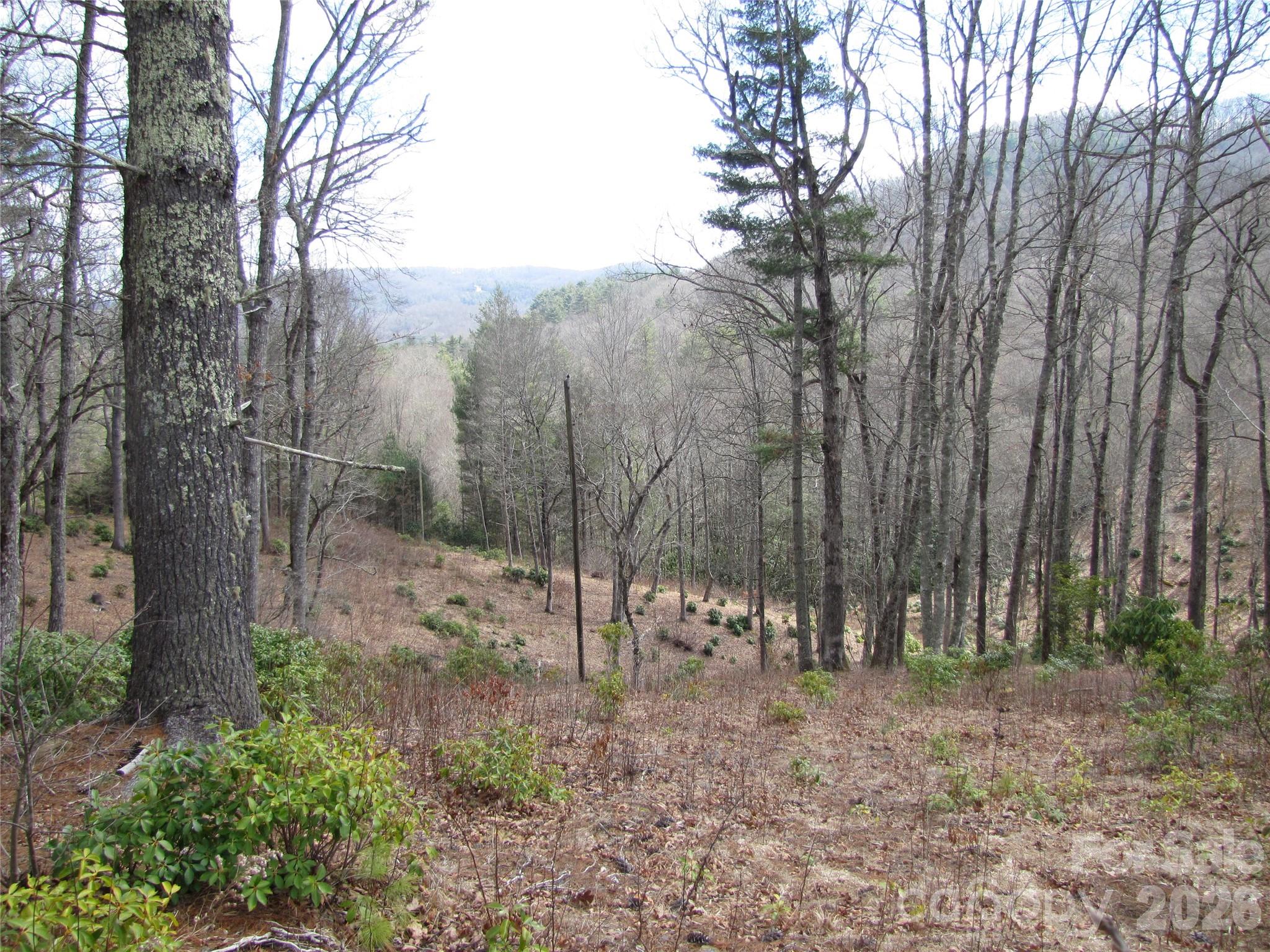 580 N Robinson Creek Road Glenville NC 28736