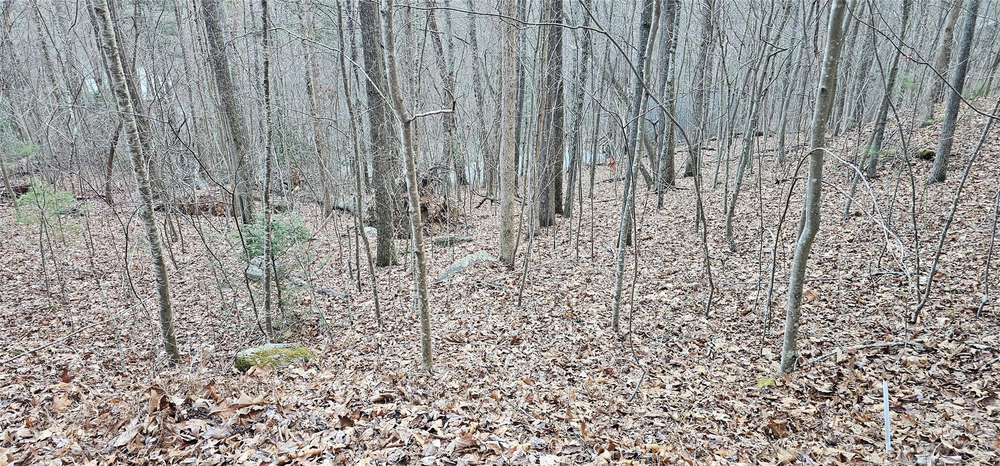 4 Lots Seay Mountain Road Waynesville NC 28785