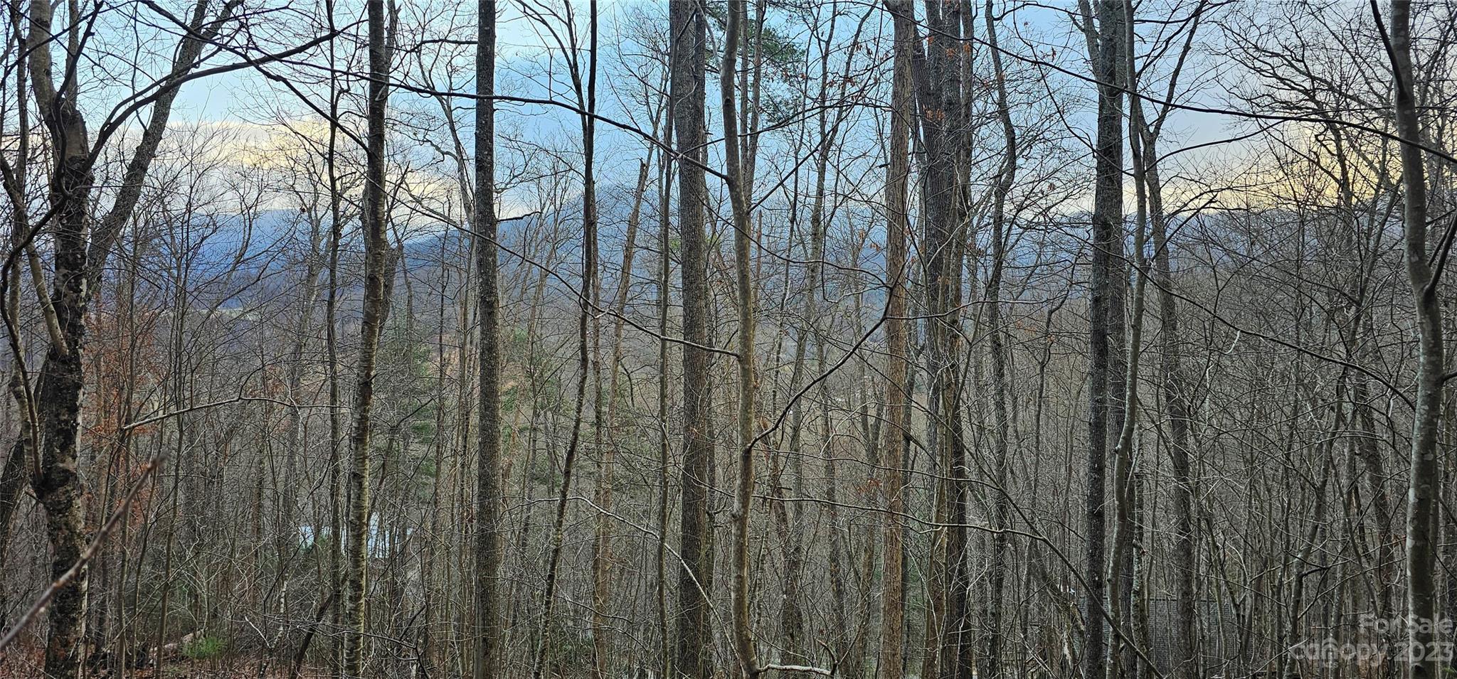 4 Lots Seay Mountain Road Waynesville NC 28785