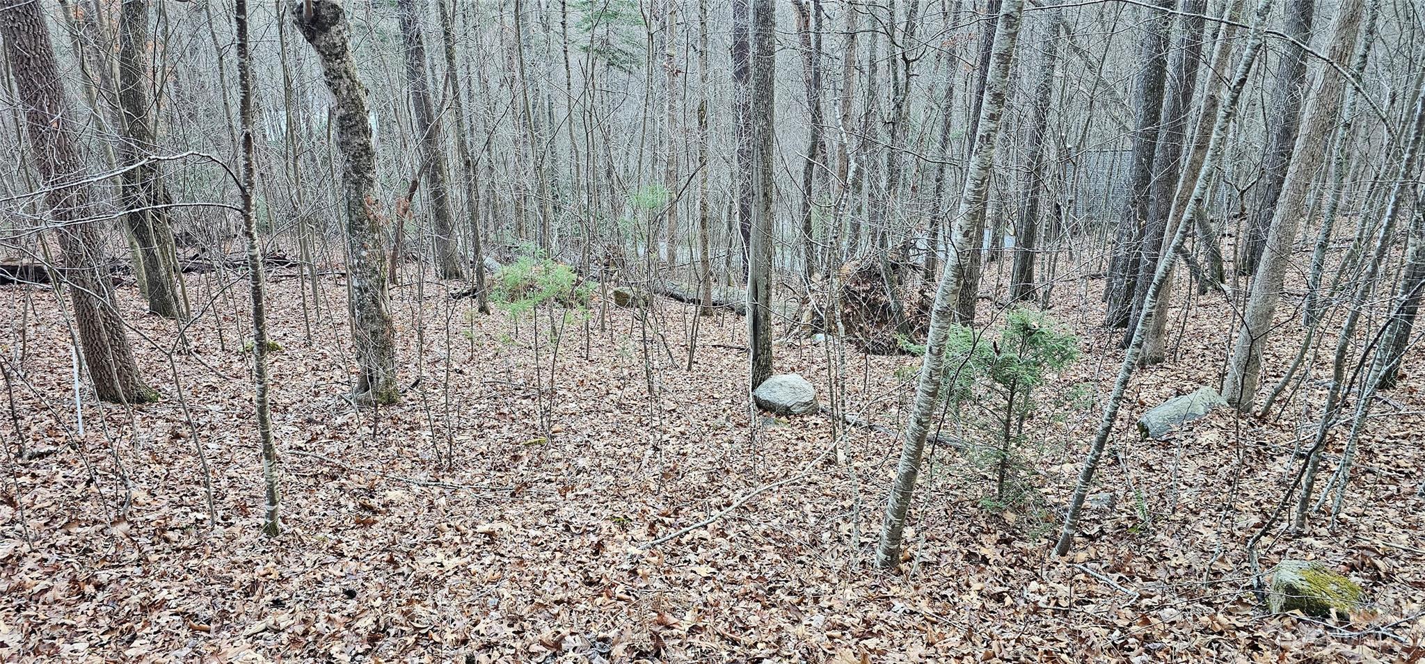 4 Lots Seay Mountain Road Waynesville NC 28785