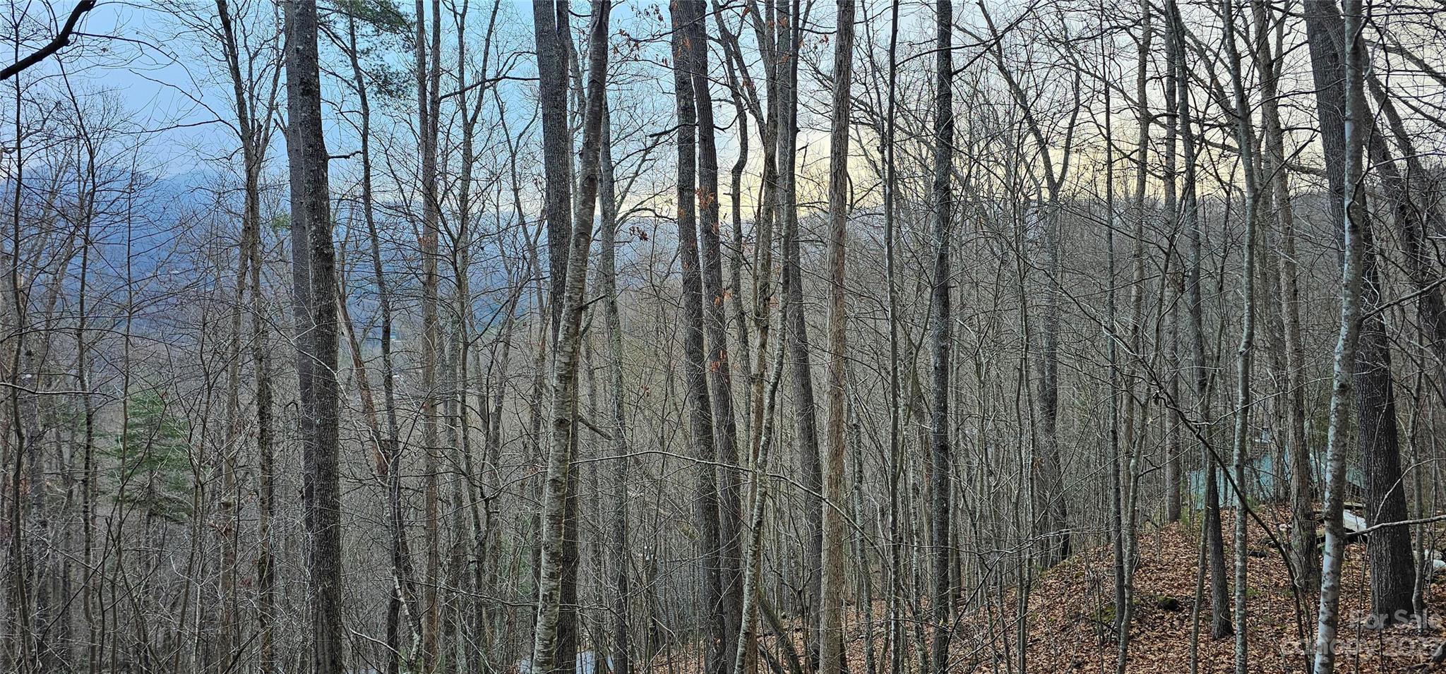 4 Lots Seay Mountain Road Waynesville NC 28785