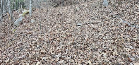 4 Lots Seay Mountain Road Waynesville NC 28785