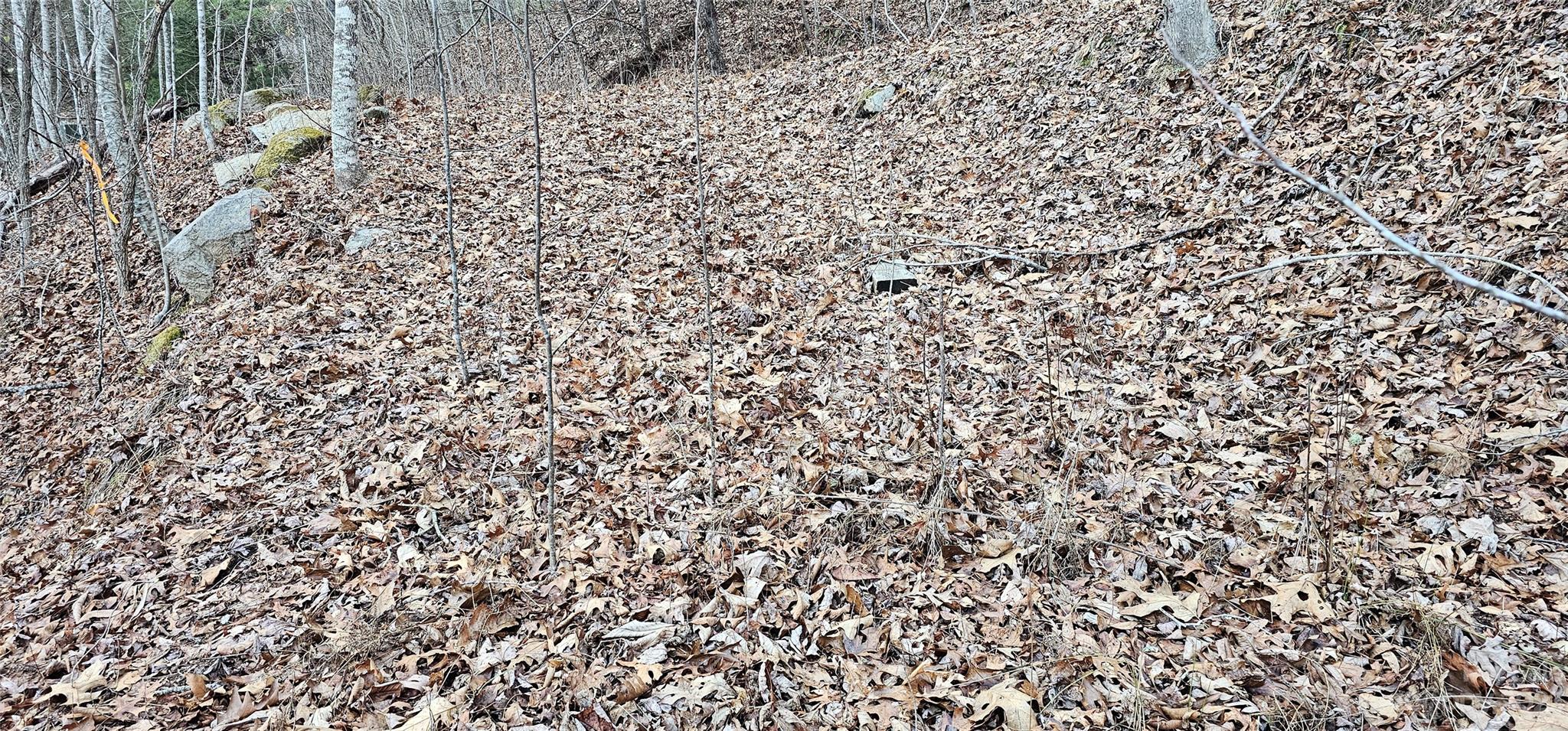 4 Lots Seay Mountain Road Waynesville NC 28785