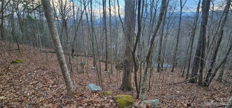 4 Lots Seay Mountain Road Waynesville NC 28785
