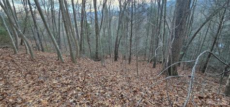 4 Lots Seay Mountain Road Waynesville NC 28785