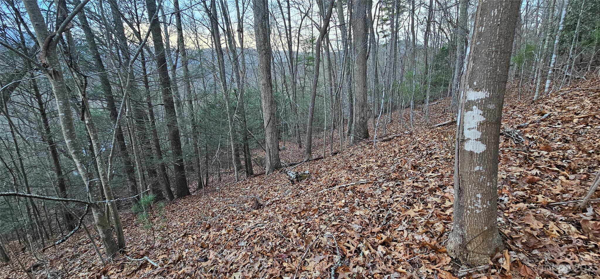 4 Lots Seay Mountain Road Waynesville NC 28785
