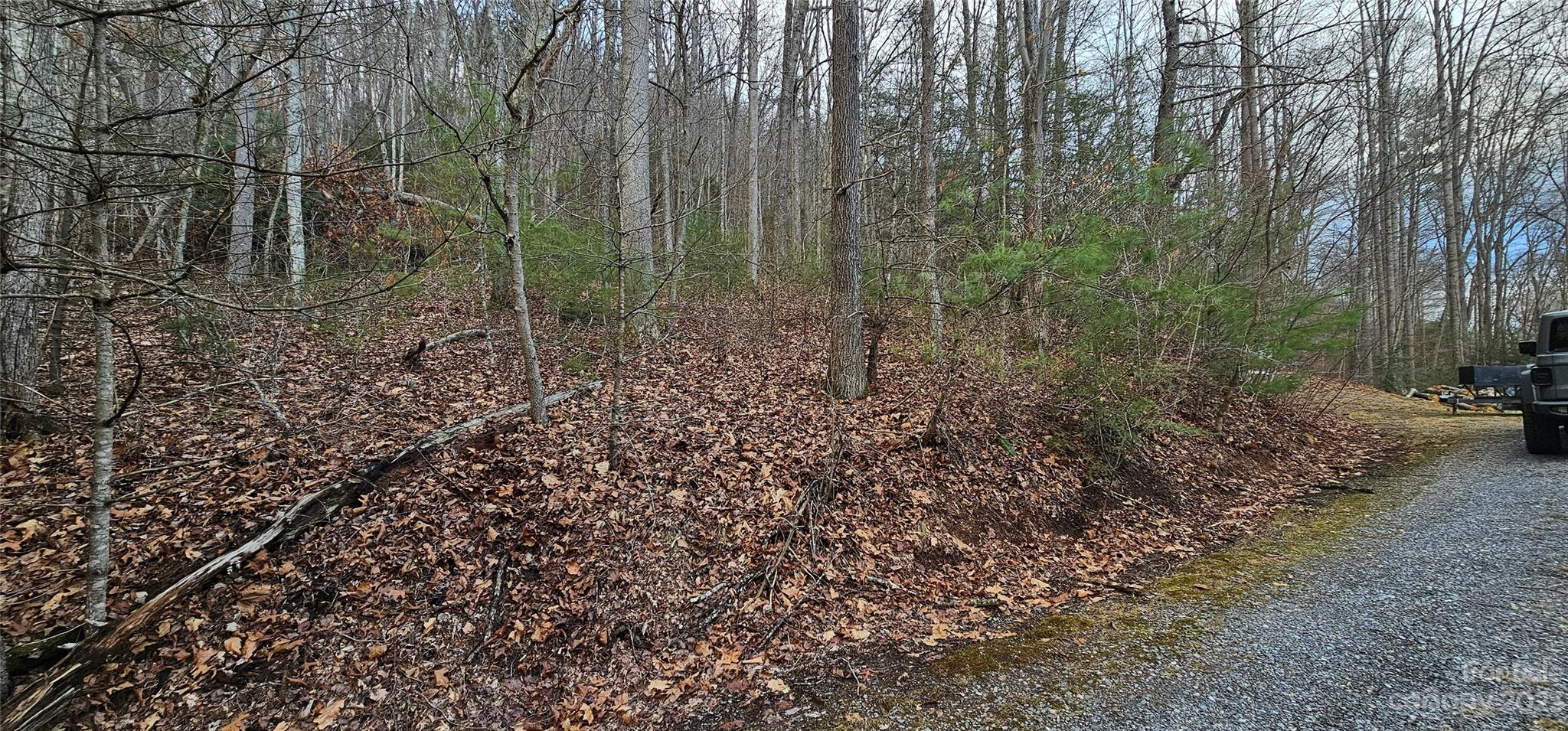 4 Lots Seay Mountain Road Waynesville NC 28785