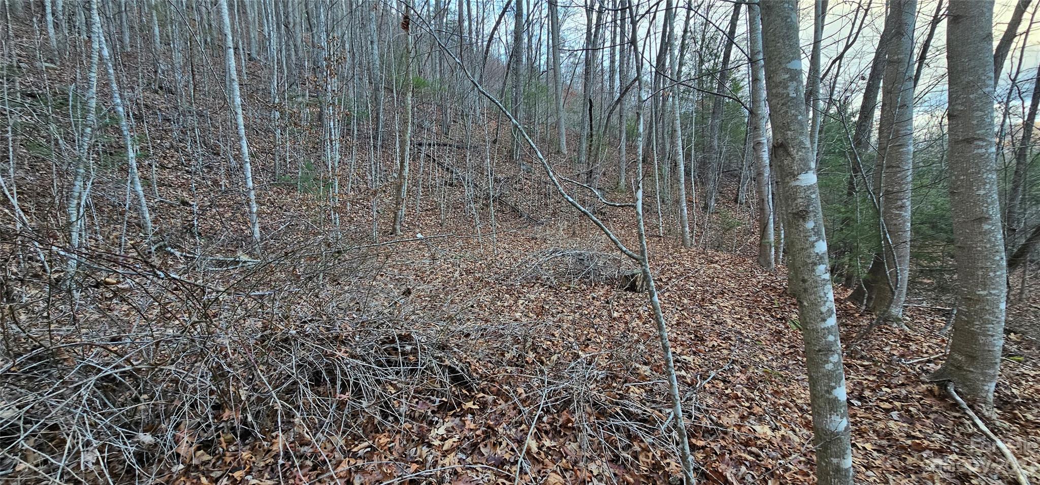 4 Lots Seay Mountain Road Waynesville NC 28785