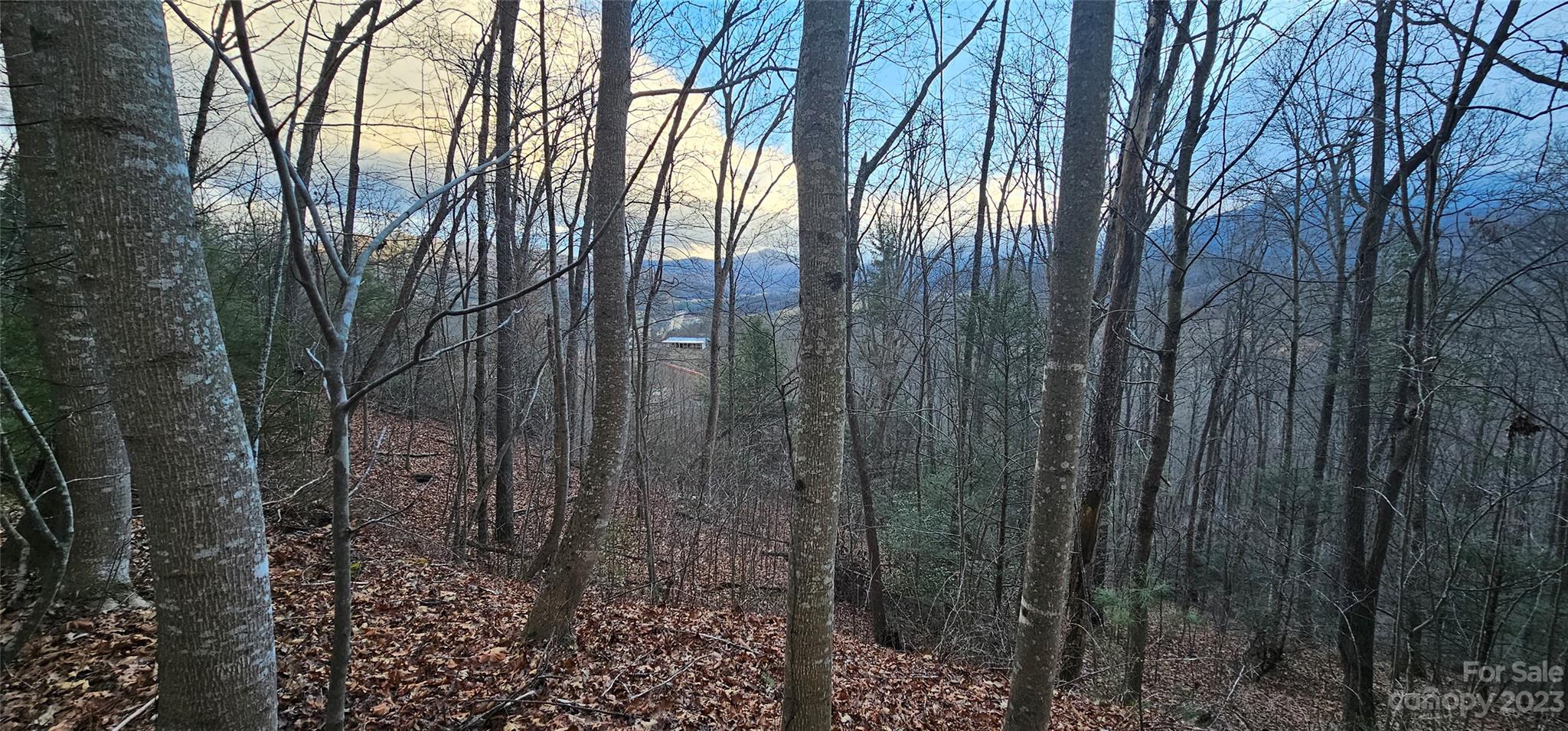 4 Lots Seay Mountain Road Waynesville NC 28785