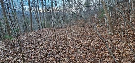 4 Lots Seay Mountain Road Waynesville NC 28785
