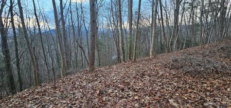 4 Lots Seay Mountain Road Waynesville NC 28785