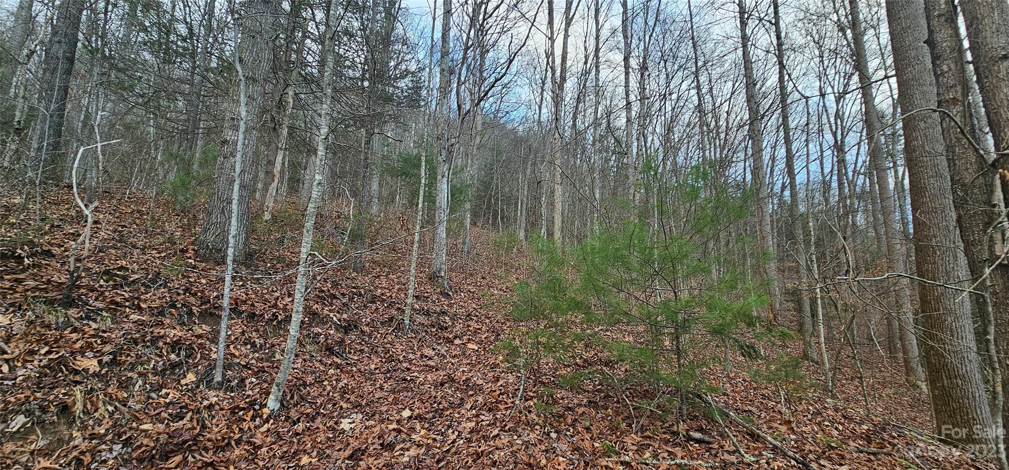 4 Lots Seay Mountain Road Waynesville NC 28785